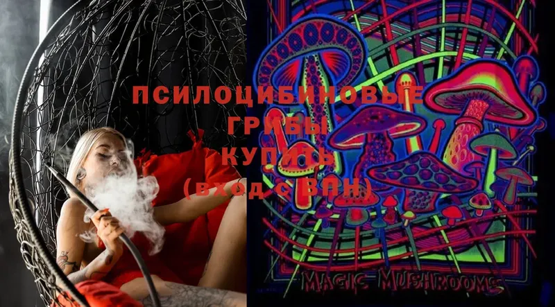 купить   Томск  Псилоцибиновые грибы Cubensis 